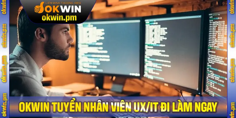 Yêu cầu cơ bản khi tuyển nhân viên UX/IT