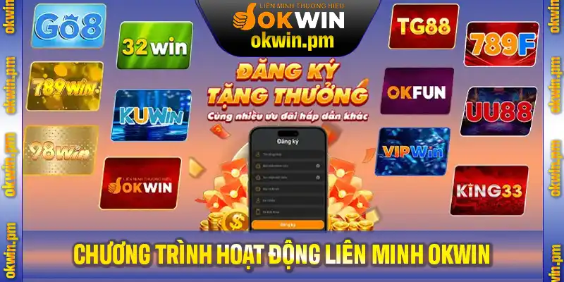 Tìm hiểu các chương trình hoạt động của liên minh OKWIN là gì