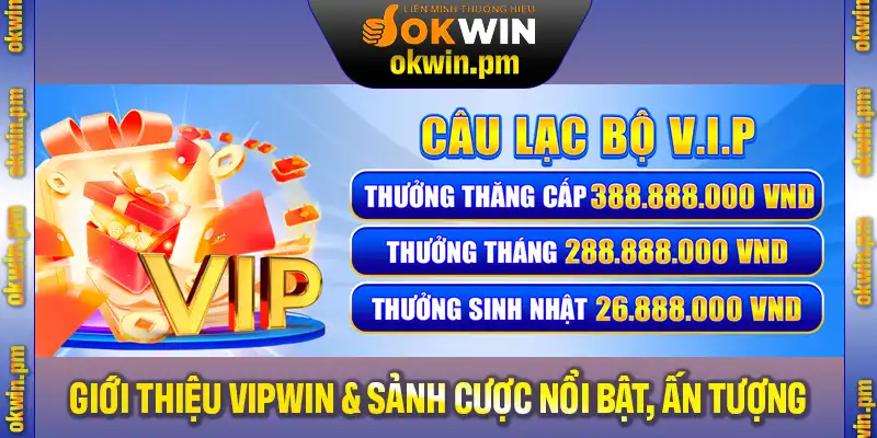 Giới thiệu VIPWin với những sảnh cược nổi bật và ấn tượng nhất