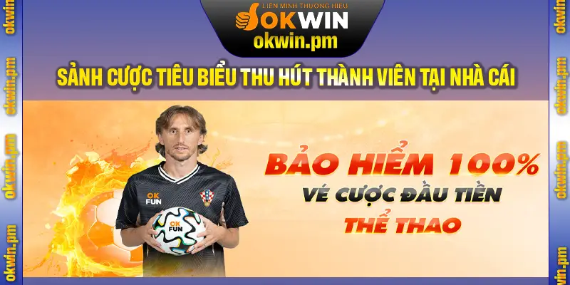 Khám phá các sảnh cược tiêu biểu thu hút thành viên tại nhà cái